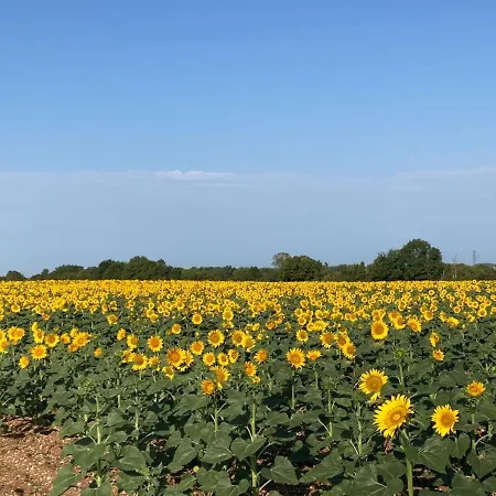 Hébergement de vacances Rustic With Stunning Swimming Pool Saint-Front (Charente)