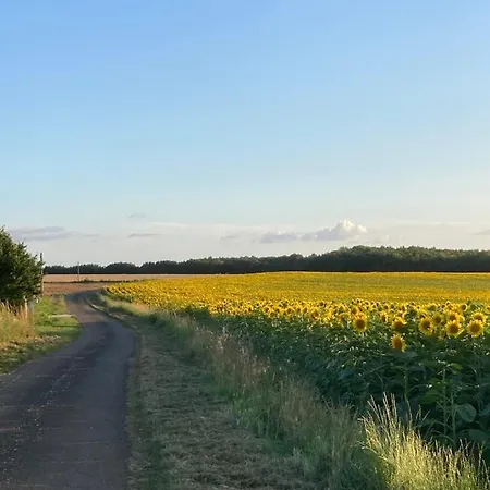 Rustic With Stunning Swimming Pool * Saint-Front (Charente)