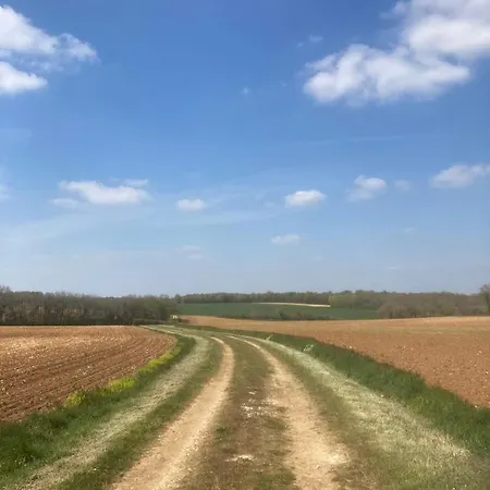 Rustic With Stunning Swimming Pool Saint-Front (Charente)