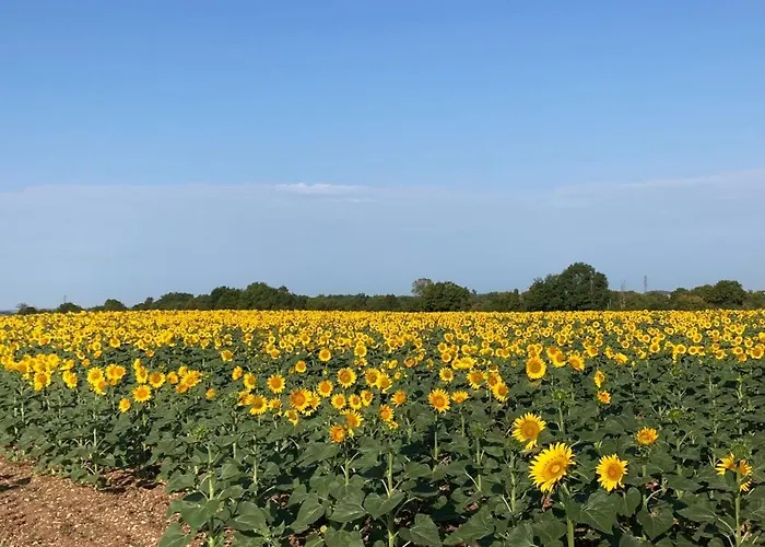 Dom wakacyjny Rustic With Stunning Swimming Pool Saint-Front (Charente)