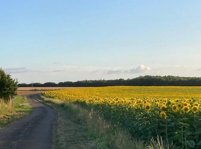 Rustic With Stunning Swimming Pool * Saint-Front (Charente)