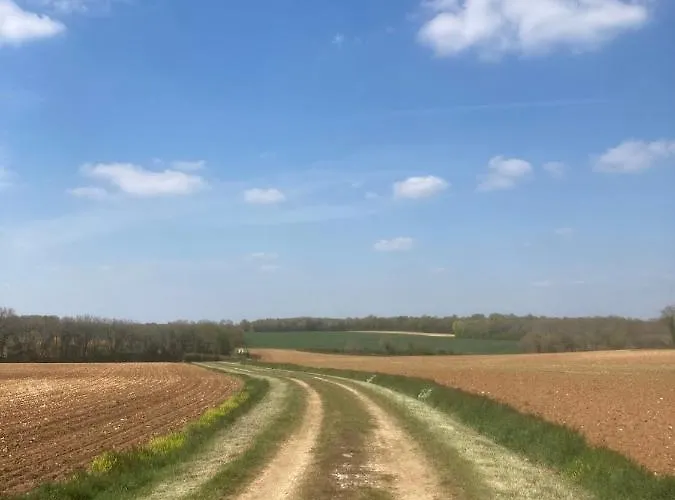 Rustic With Stunning Swimming Pool Saint-Front (Charente)